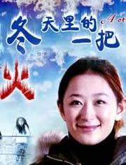 安韩瑾个人资料,才华横溢的影视新星，多面魅力展现人生精彩