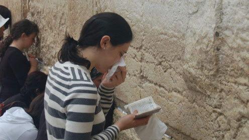 娱乐圈吃瓜小羊,揭秘娱乐圈背后的秘密与八卦  第3张